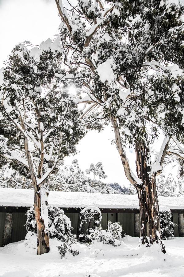 Ski Rider Hotel Perisher Valley Exterior photo